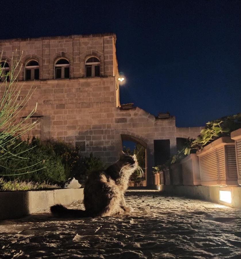 Torretta Ai Sassi Ξενοδοχείο Ματέρα Εξωτερικό φωτογραφία